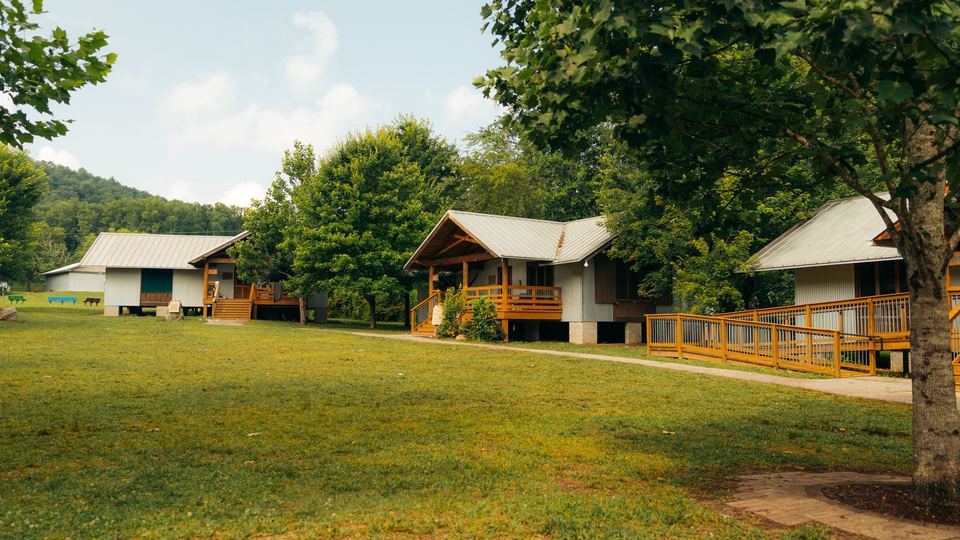 Empty cabins on a green lawn under summer trees
