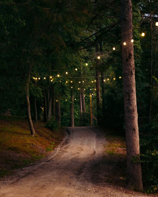 A forest road into camp under string lights at dusk